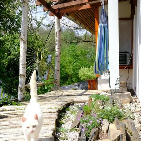 Kuca Za Odmor Lola * 伊万尼察